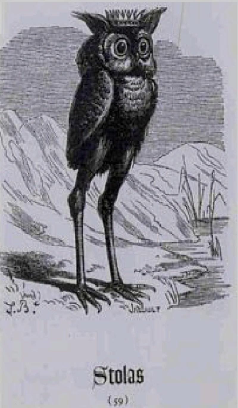 Featured image of post Stolas one of the owl